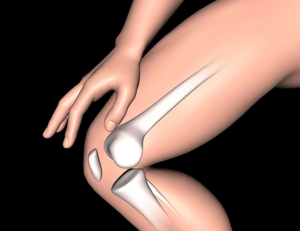 hip replacement in india