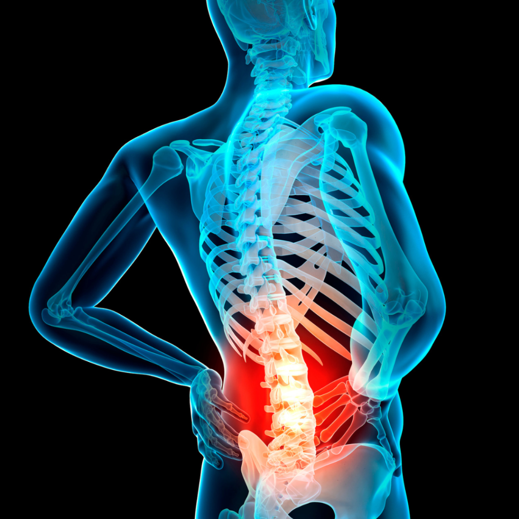 hip joint replacement cost in india