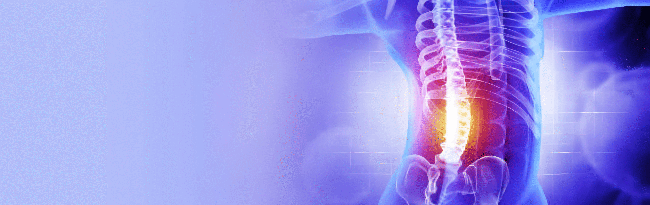 Human Spine Pain Medical Illustration