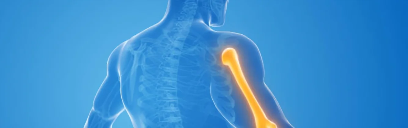 Shoulder Joint Xray Highlight